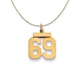 14k Yellow Gold, Athletic, Sm Polished Number 69 Necklace - 20 Inch